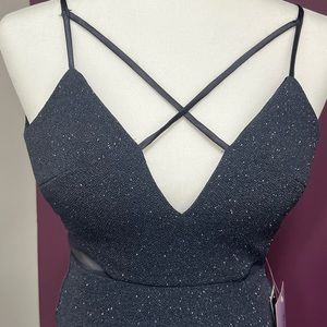 Dear Moon Silver Gown